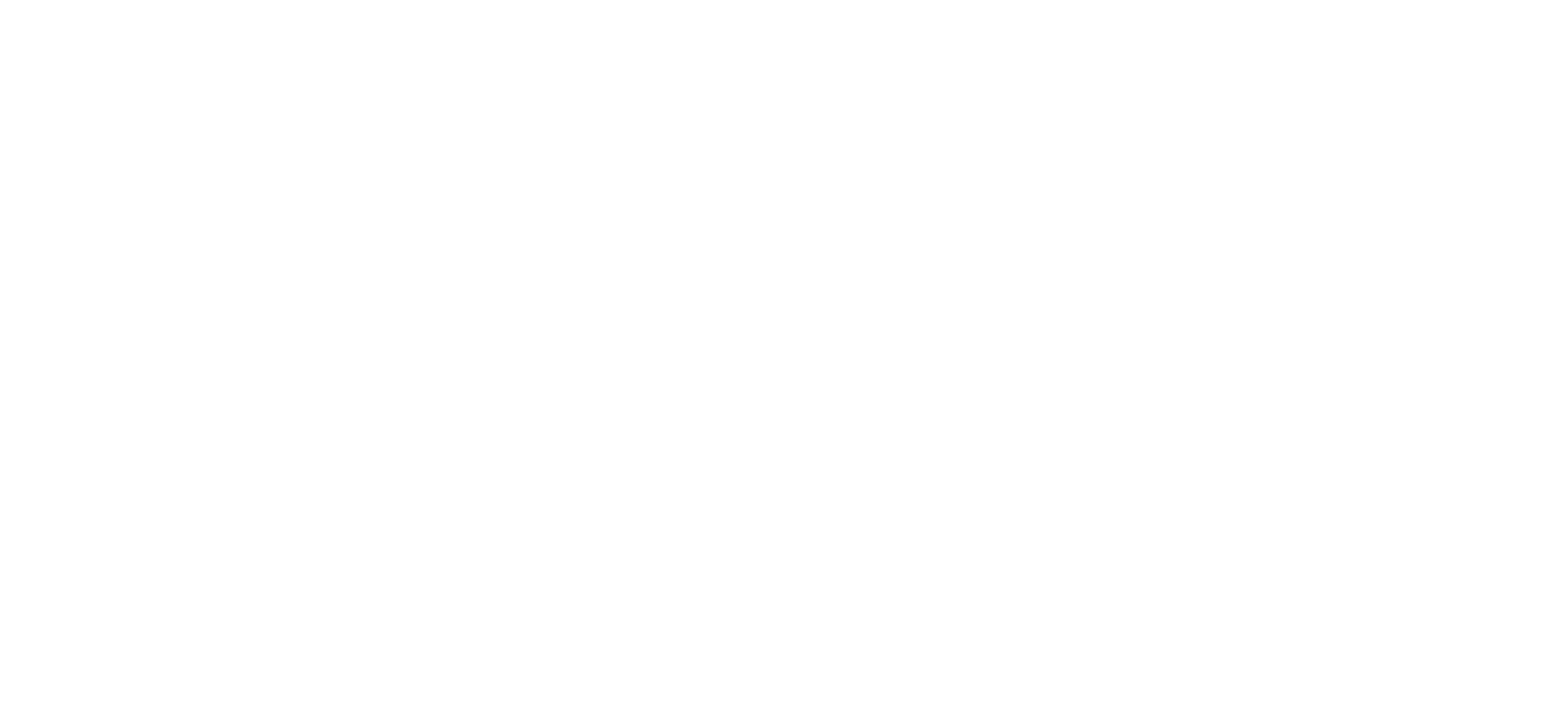 THE_COLORIST