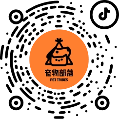 抖音