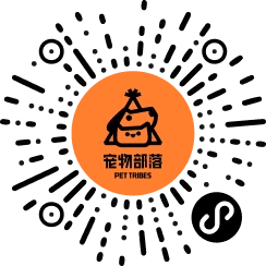 微信小程序
